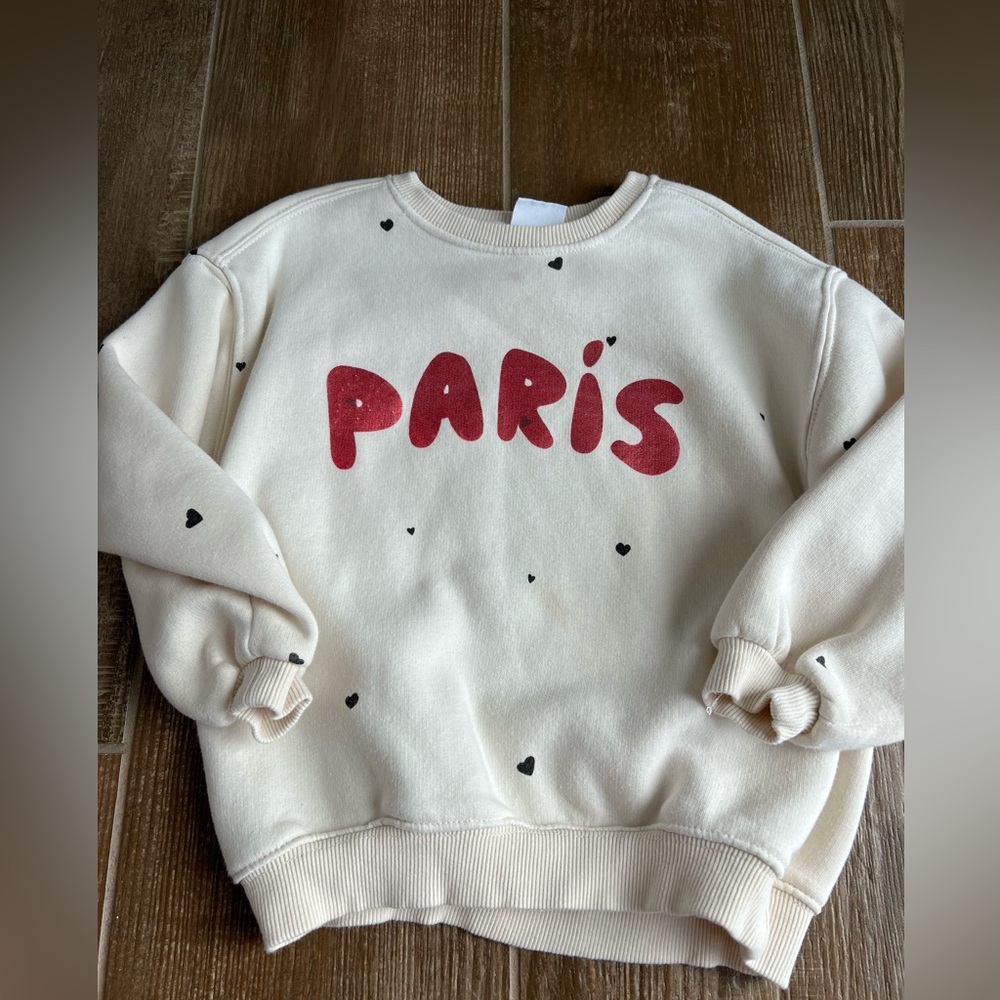 Zara Toddler Girl Sweatshirt